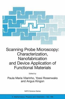 Scanning Probe Microscopy Characterization Nanofabrication And Device Application Of Functional Materials Proceedings Of The Nato Advanced Study Institute Ii Mathematics Physics And Chemistry 1st Edition Paula M Vilarinho