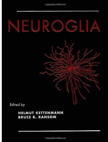 Neuroglia 2nd Edition Helmut Kettenmann Bruce R Ransom