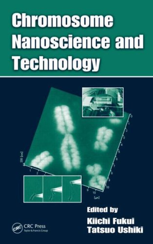 Chromosome Nanoscience And Technology 1st Edition Kiichi Fukui