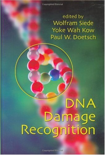 Dna Damage Recognition 1st Edition Wolfram Siede Editor Yoke Wah Kow Editor
