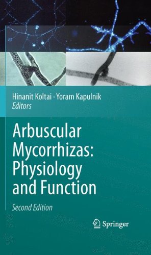 Arbuscular Mycorrhizas Physiology And Function 1st Edition Manuela Giovannetti