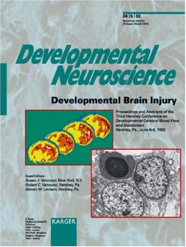 Developmental Brain Injury Volume 24 24 5 1st Edition S J Vannucci