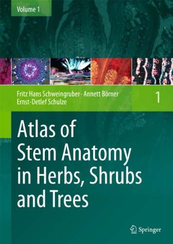 Atlas Of Stem Anatomy In Herbs Shrubs And Trees Volume 1 1st Edition Fritz H Schweingruber