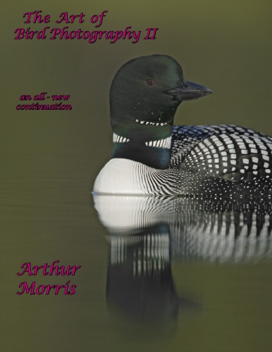 The Art Of Bird Photography Ii An Allnew Continuation Of The Classic Howto Work Arthur Morris