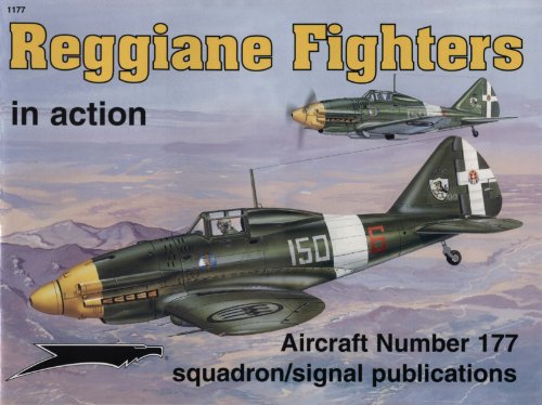Reggiare Fighters In Action 177 1st Gyorgy Punka