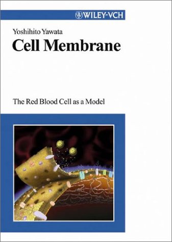 Cell Membrane The Red Blood Cell As A Model Yoshihito Yawata