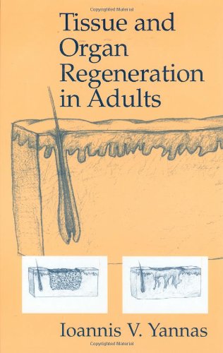 Tissue And Organ Regeneration In Adults 1st Edition Ioannis V Yannas Author