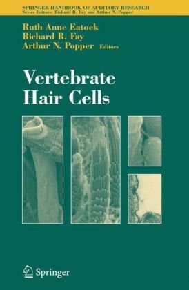 Vertebrate Hair Cells Springer Handbook Of Auditory Research 1st Edition Ruth Anne Eatock Editor