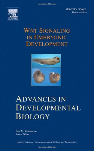 Wnt Signaling In Embryonic Development 1st Edition Sergei Y Sokol Eds
