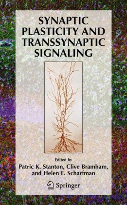 Synaptic Plasticity And Transsynaptic Signaling 1st Edition Patric K Stanton Editor