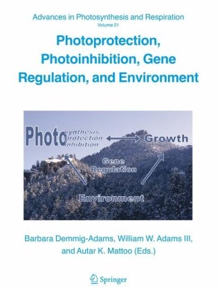 Photoprotection Photoinhibition Gene Regulation And Environment Volume 21 Advances In Photosynthesis And Respiration Advances In Photosynthesis And Respiration 1st Edition Barbara Demmigadams Editor