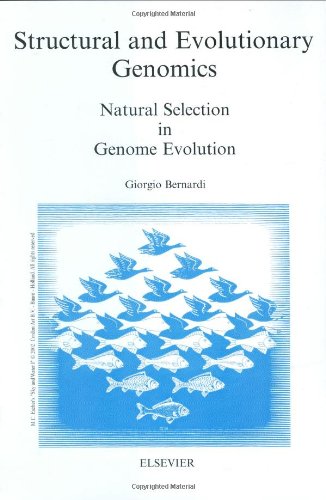 Structural And Evolutionary Genomics Natural Selection In Genome Evolution 1st Edition Giorgio Bernardi Eds