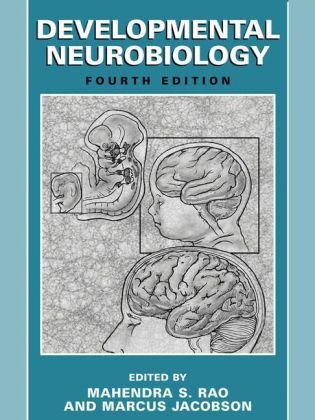 Developmental Neurobiology 4th Edition by Mahendra S Rao ISBN 9780306483301
