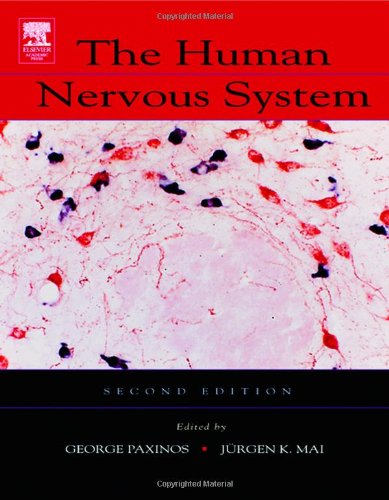 The Human Nervous System Second Edition 2nd Edition George Paxinos