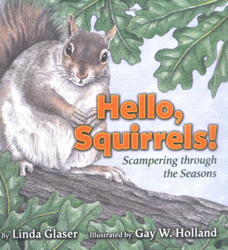 Hello Squirrels Scampering Through The Seasons Linda Glasers Classic Creatures 1st Edition Linda Glaser