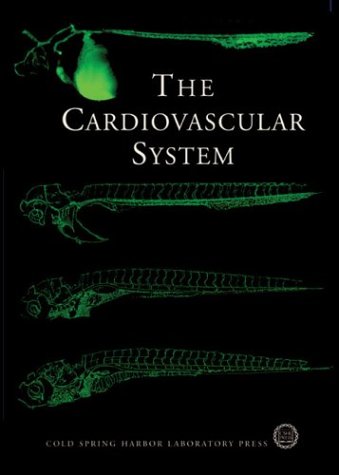 The Cardiovascular System Cold Spring Harbor Symposia On Quantitative Biology Volume Lxvii 1st Edition Cold Spring Harbor Laboratory