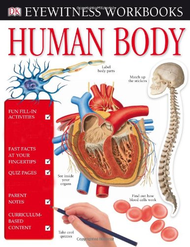 Human Body Eyewitness Workbooks 1st Edition Claire Watts