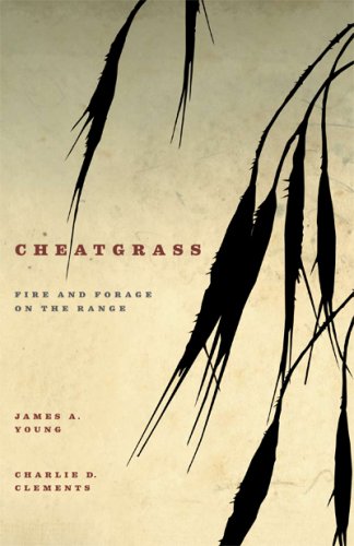 Cheatgrass Fire And Forage On The Range James A Young Charlie D Clements