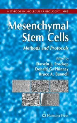 Mesenchymal Stem Cells Methods And Protocols 1st Edition Margaret Wolfe