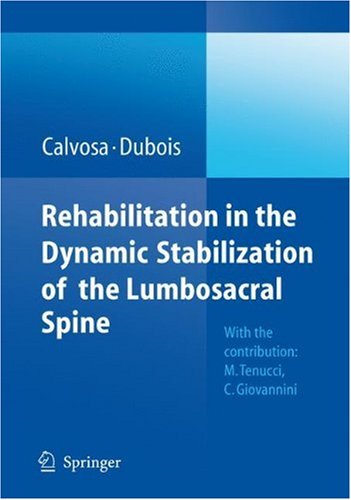 Rehabilitation In The Dynamic Stabilization Of The Lumbosacral Spine 1st Edition M Tenucci