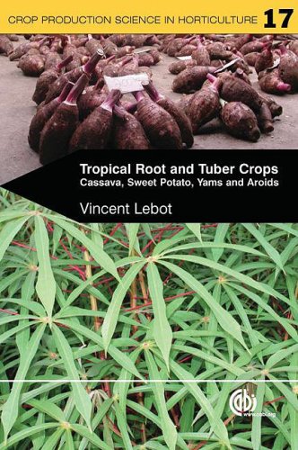 Tropical Root And Tuber Crops Cassava Sweet Potato Yams Aroids First V Lebot