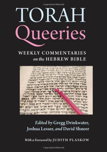Torah Queeries Weekly Commentaries On The Hebrew Bible Joshua Lesser