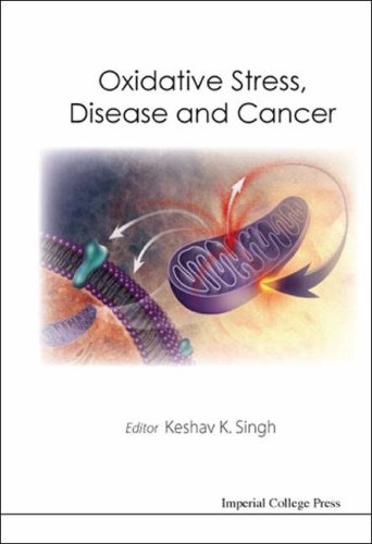 Oxidative Stress Disease And Cancer Keshav K Singh