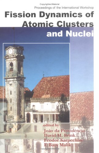 Fission Dynamics Of Atomic Clusters And Nuclei 1st Joao Da Providencia