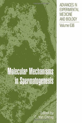 Molecular Mechanisms In Spermatogenesis 1st Edition Rex A Hess