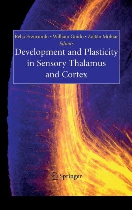Development And Plasticity In Sensory Thalamus And Cortex 1st Edition Reha Erzurumlu