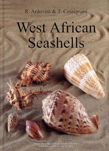 West African Seashells Ardovini T Cossignani T