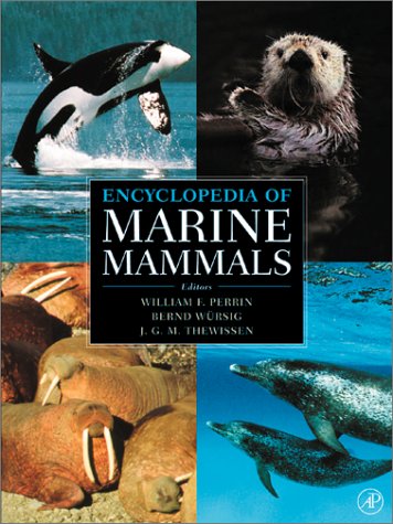 Encyclopedia Of Marine Mammals 1st Bernd Wursig