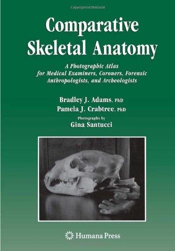 Comparative Skeletal Anatomy A Photographic Atlas For Medical Examiners Coroners Forensic Anthropologists And Archaeologists 1st Edition Bradley J Adams