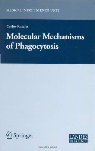 Molecular Mechanisms Of Phagocytosis Medical Intelligence Unit 1st Edition Carlos Rosales
