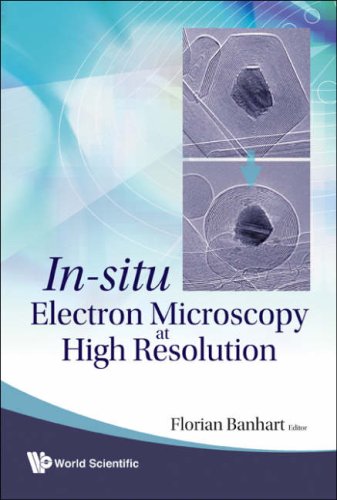Insitu Electron Microscopy At High Resolution Florian Banhart
