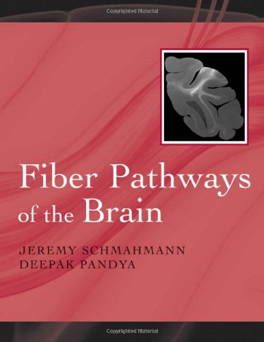 Fiber Pathways Of The Brain 1st Edition Jeremy D Md Schmahmann