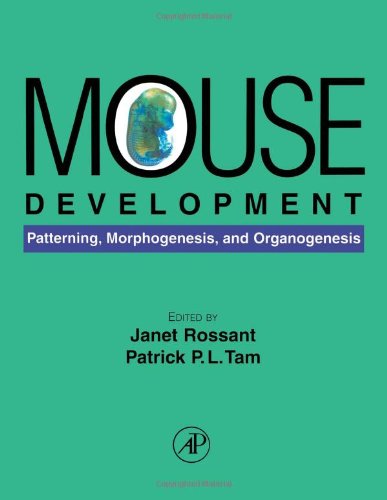 Mouse Development Patterning Morphogenesis And Organogenesis 1st Janet Rossant