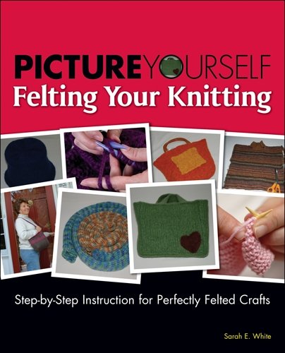 Picture Yourself Felting Your Knitting 1st Edition Sarah E White