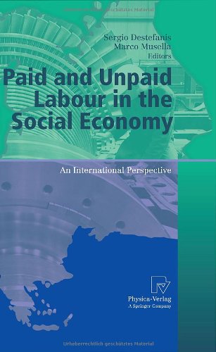 Paid And Unpaid Labour In The Social Economy An International Perspective 1st Edition Sergio Destefanis