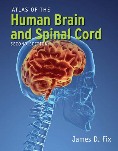 Atlas Of The Human Brain And Spinal Cord 2nd Edition 2nd James D Fix
