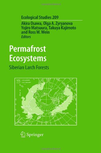 Permafrost Ecosystems Siberian Larch Forests 1st Edition A Osawa