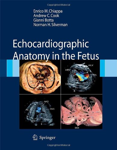 Echocardiographic Anatomy In The Fetus 1st Edition Enrico M Chiappa