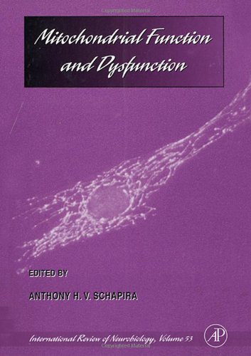 Mitochondrial Function And Dysfunction 1st Edition A Shapira Eds