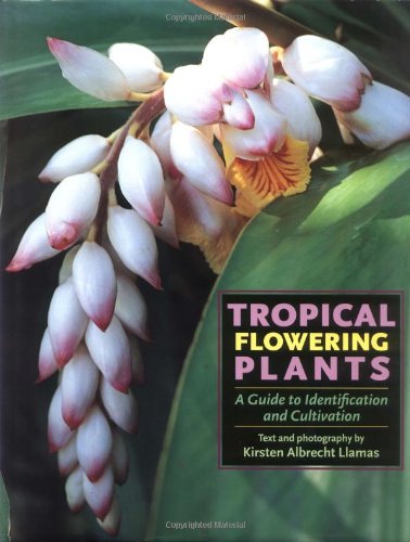 Tropical Flowering Plants A Guide To Identification And Cultivation Kirsten Albrecht Llamas