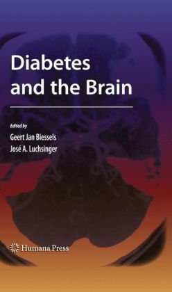 Diabetes And The Brain 1st Edition Edith Wmt Ter Braak Md