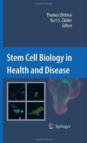 Stem Cell Biology In Health And Disease 1st Edition Thomas Dittmar