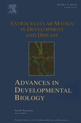 Extracellular Matrix In Development And Disease 1st Edition Jeffrey H Miner Eds