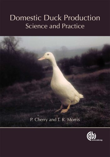 Domestic Duck Production Science And Practice Cabi First P Cherry
