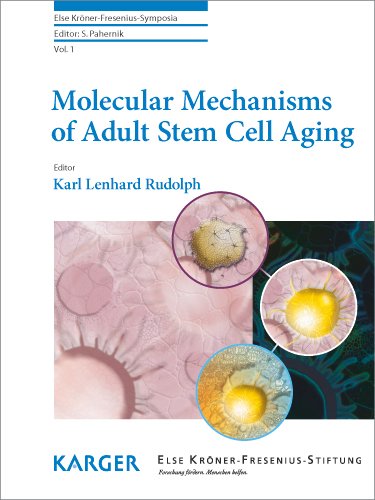 Molecular Mechanisms Of Adult Stem Cell Aging Else Kronerfreseniussymposia Vol 1 1st Edition K L Rudolph