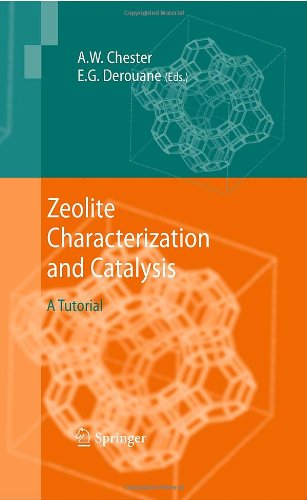 Zeolite Characterization And Catalysis A Tutorial 1st Edition Allen W Burton Auth